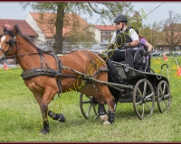 2POSIEUX 0329